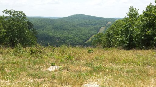 Trail Panorama.jpg