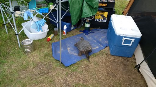 IMG_20160808_144718.jpg