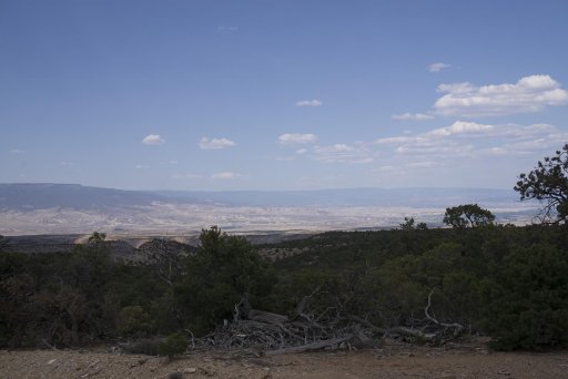 _DSC0855.jpg