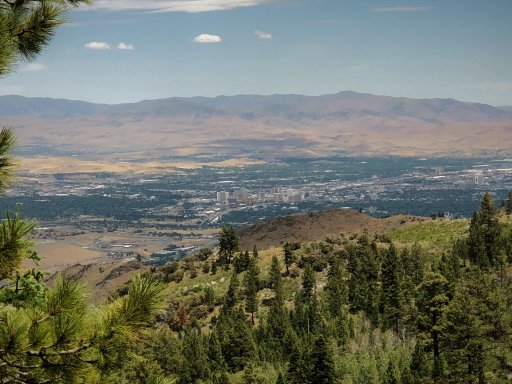 Reno through the Trees.jpg