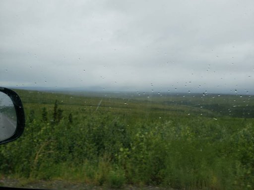 20180708_123124.jpeg
