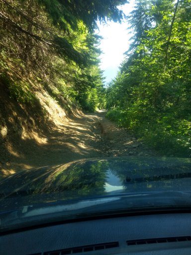 IMG_20180722_090534832_HDR.jpg