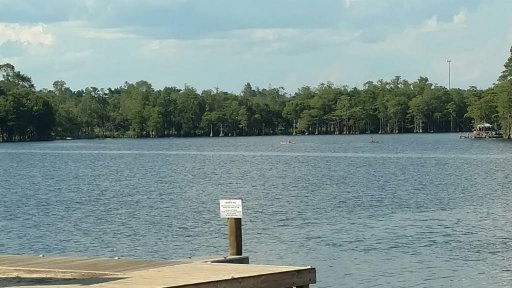 IMG_20180722_171540797.jpeg