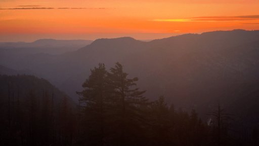 IMG_1599.JPG