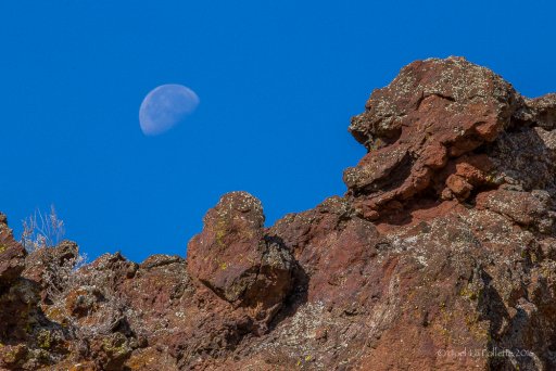Dragon Moon-8677.jpg
