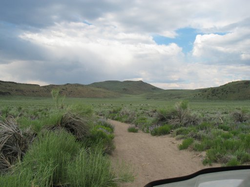McBride Springs 2.JPG