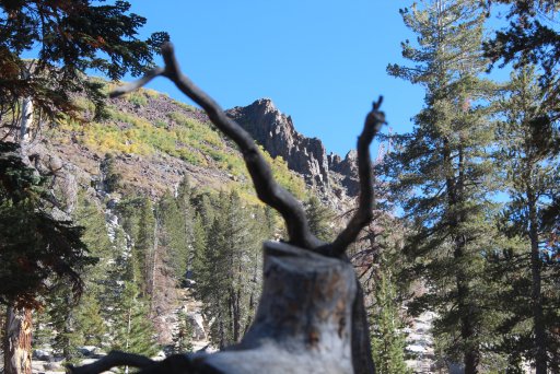 IMG_1634.JPG