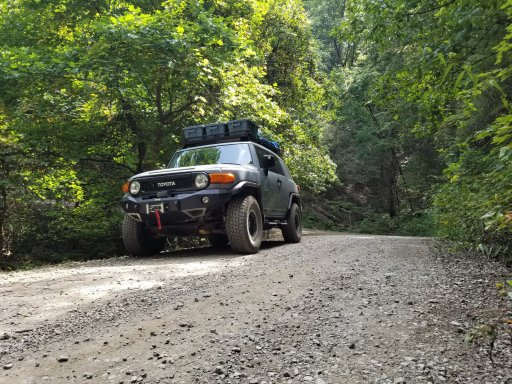 Fj Cherokee Forrest.jpg