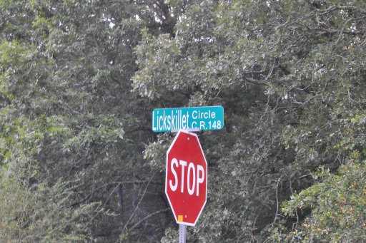 DSC_1756.JPG