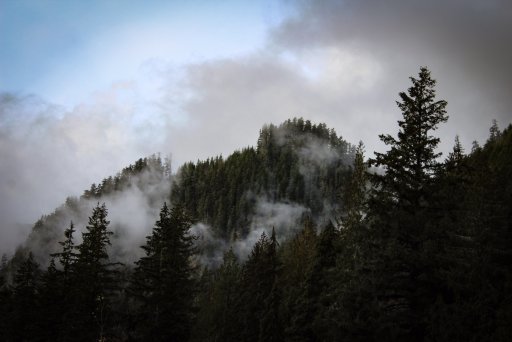 IMG_8079.JPG