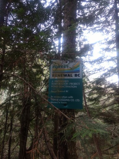 IMG_20181120_130608959.jpg