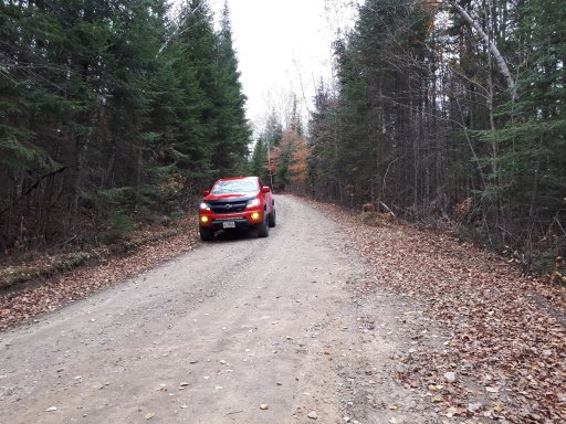 20181027_155539.jpg