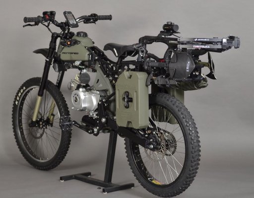 MoPed.jpg