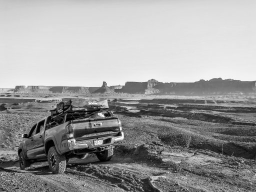 IMG_1430.jpg