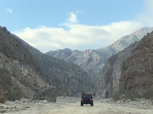 IMG_3708.JPG