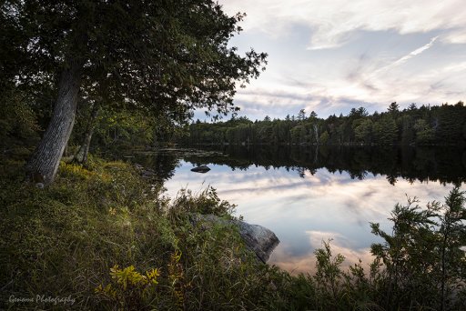 Maine04-01_WEB_1000pxLR.jpg