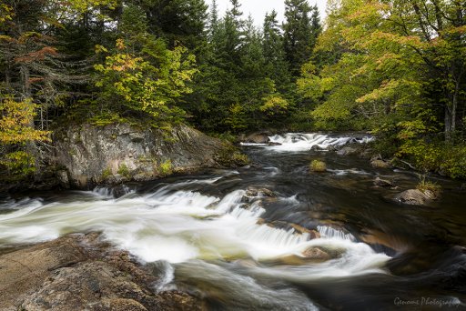 Maine09-01_WEB_1000pxLR.jpg