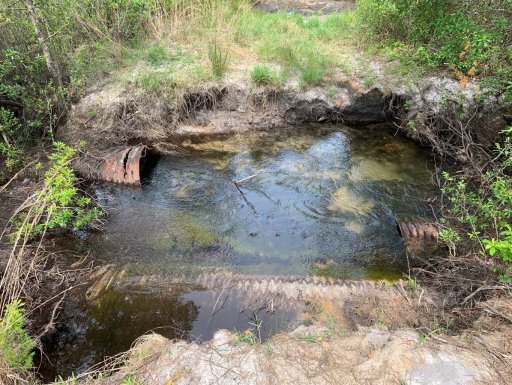 Washed Out Road.jpg