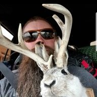 Viking Overland