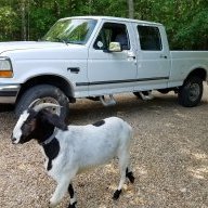 F250 Power Stroke