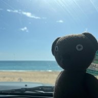 TeddyCruiz76