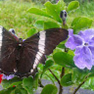 AVERALDO_0150f1
