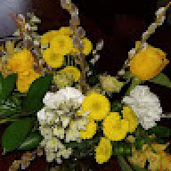 Carrie_6f2c44