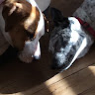 Bailey_25174d