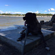 troy_311c5b