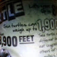 Jeff_757690