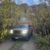 Tyler_280668