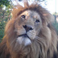 Philip_7062ad