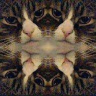 Rocky_40c5c9