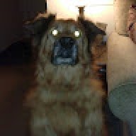 Dave_e32ad4