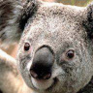 Kieran_7cd0cd
