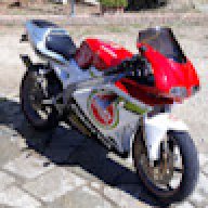 Tommaso_540070