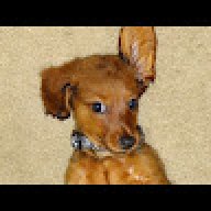 Mandee_062d8d