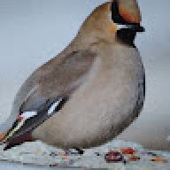 Barbara_a1459c