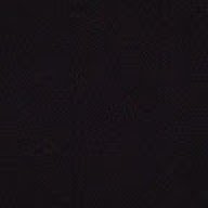 moises_124930