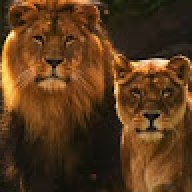 ANTHONY_16e81d