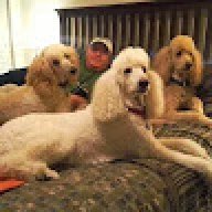 Greg_9631e7