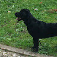 Daniel_f57897