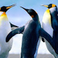 Andrew_48c98e
