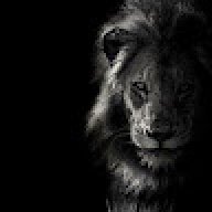 thedarknest38