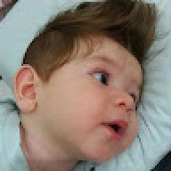 Enzo_736a8b