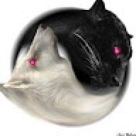 Frailyn_f5ee4f