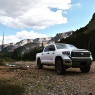 Chimp.Yota