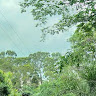 A natureza_34cf4d