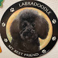 Larry_7ab9db
