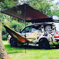 Forester_f31329
